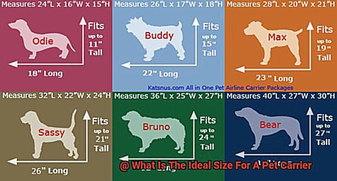 What Is The Ideal Size For A Pet Carrier-2