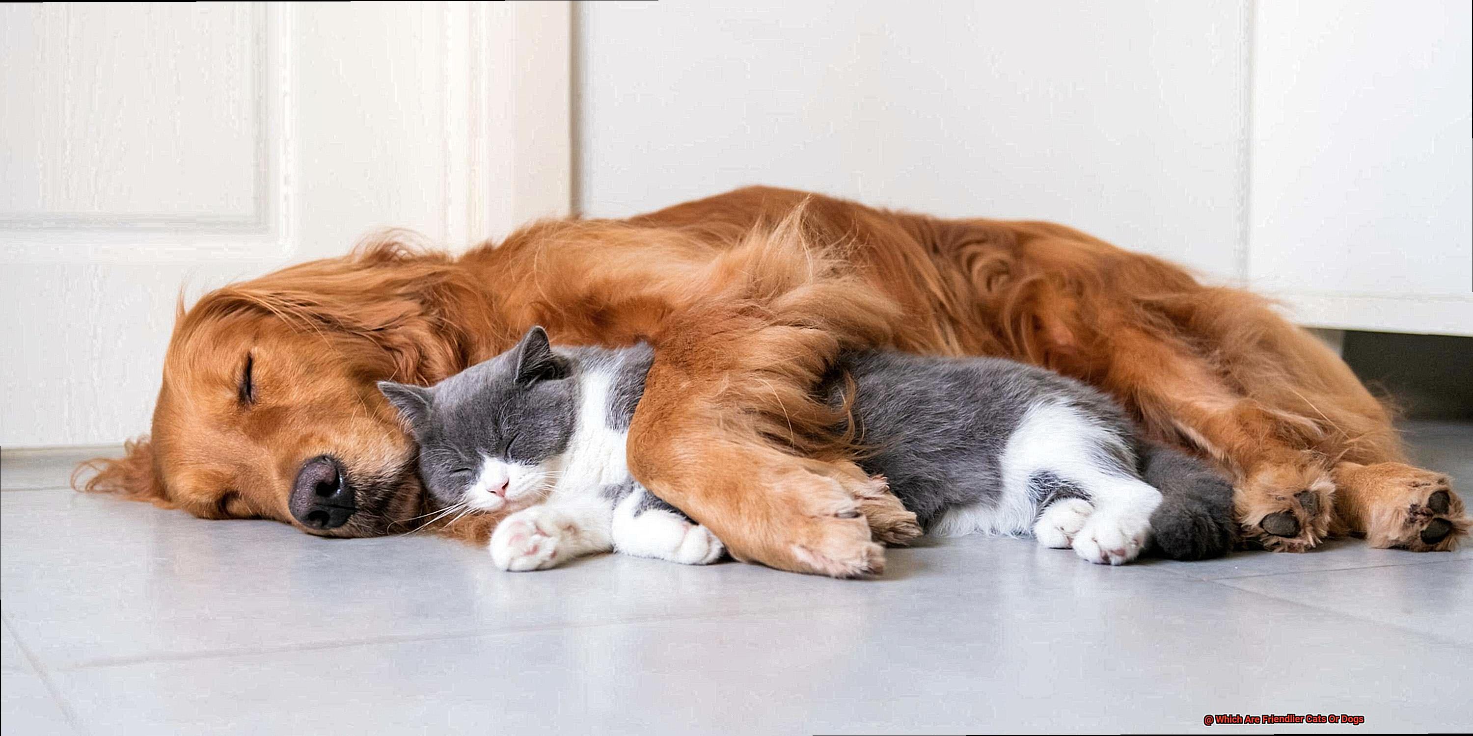 Which Are Friendlier Cats Or Dogs-2