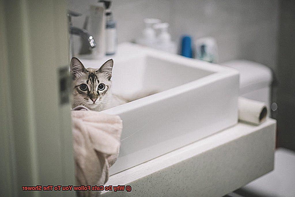 Why Do Cats Follow You To The Shower-2