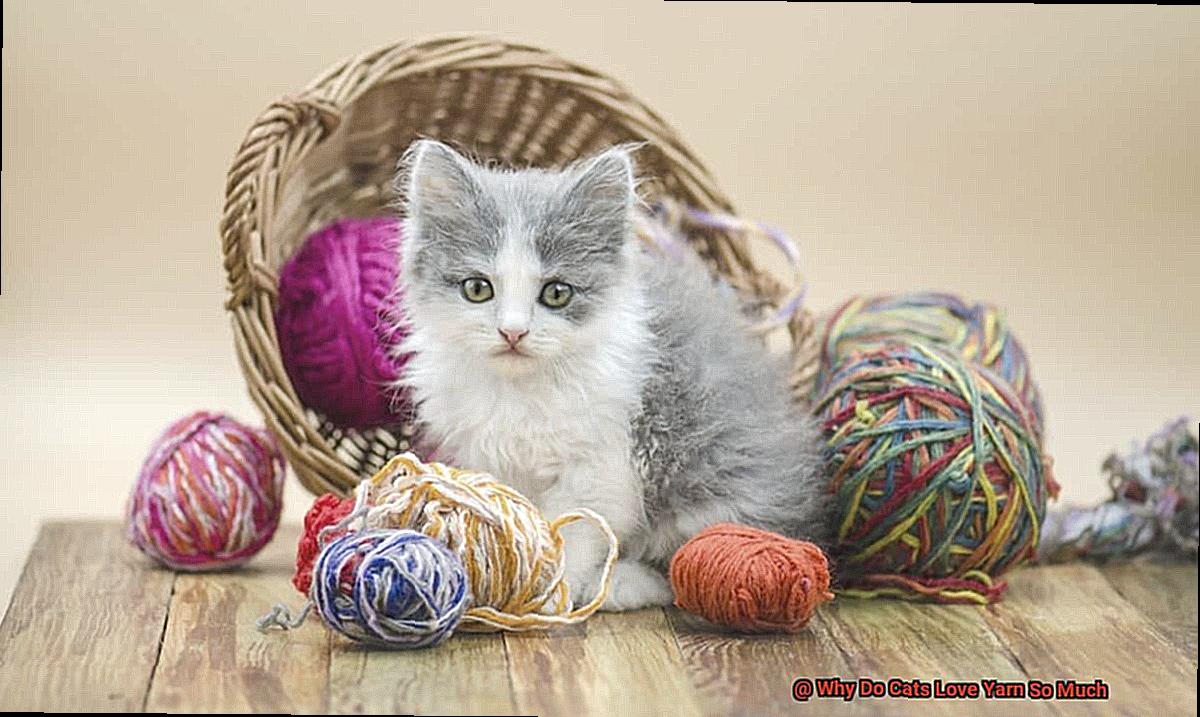 Why Do Cats Love Yarn So Much-2